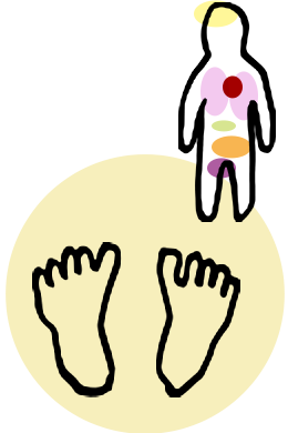 「足屋」では、東洋医学に基づいた反射区と呼ばれる範囲を刺激する施術を行います。足の裏は全身の縮図が投影されているという考え方があり、足の裏、甲、指、ふくらはぎなどの反射区を刺激し、流すことで、それらに対応する臓器や器官に働きかけ、身体が本来持っている自己治癒力を引き出し、さまざまな臓器の不調に対してピンポイントで働きかけることができ不調の改善に効果が期待されます。